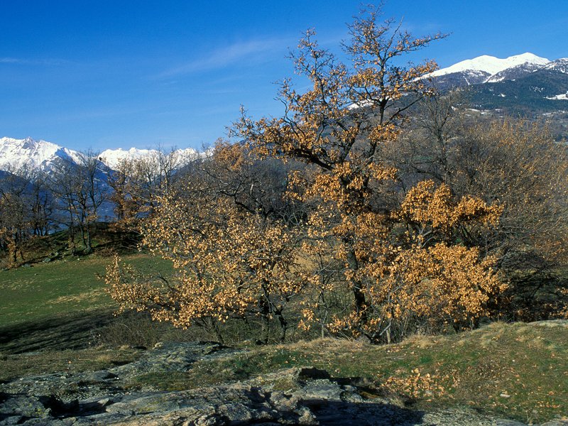 02 - Da Echevennoz ad Aosta