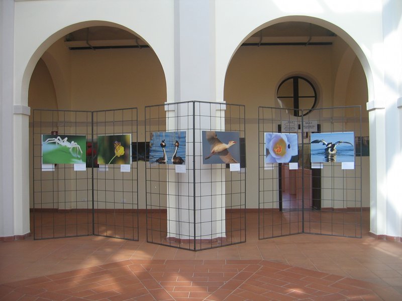 Ecomuseum Valli Oglio Chiese