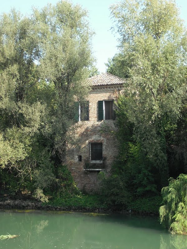 Tower ruins in Musestre