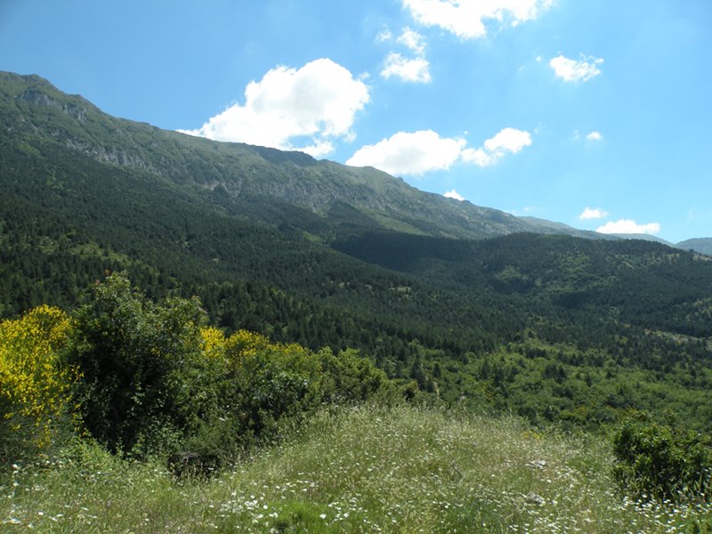 R3 - Von Roccacasale zur Berghütte "Rifugio Il Puzzacchio"