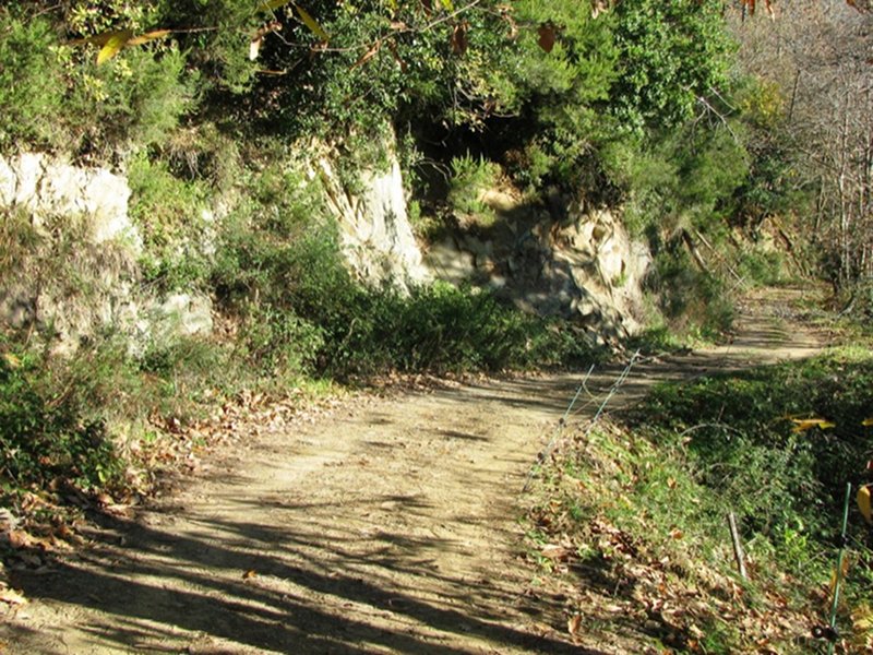 Itinéraire 530 - Volastra - Telegrafo