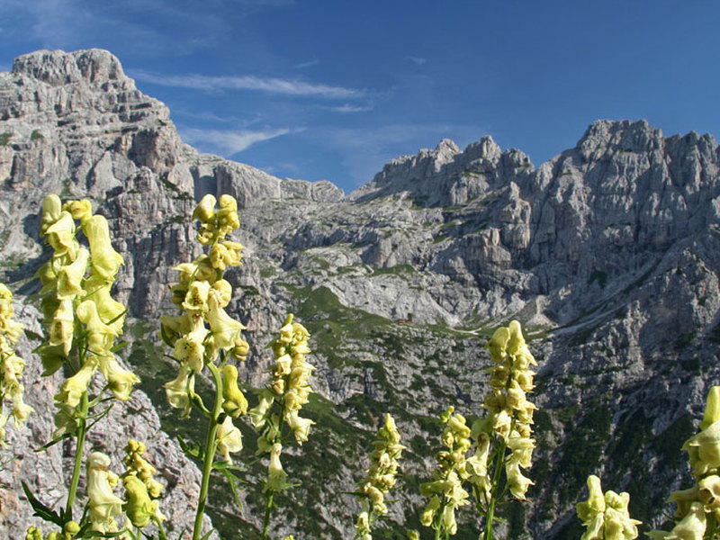 Conca Cimonega und Berghütte Feltre