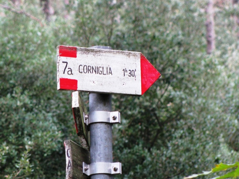 587 (ex n. 7A) Corniglia - Cigoletta