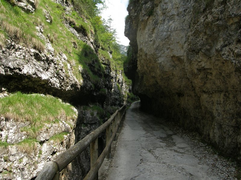 Val Ambiez and its fossils