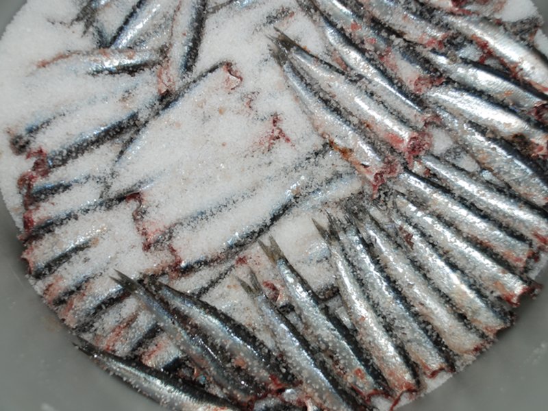 Monterosso Salted Anchovies