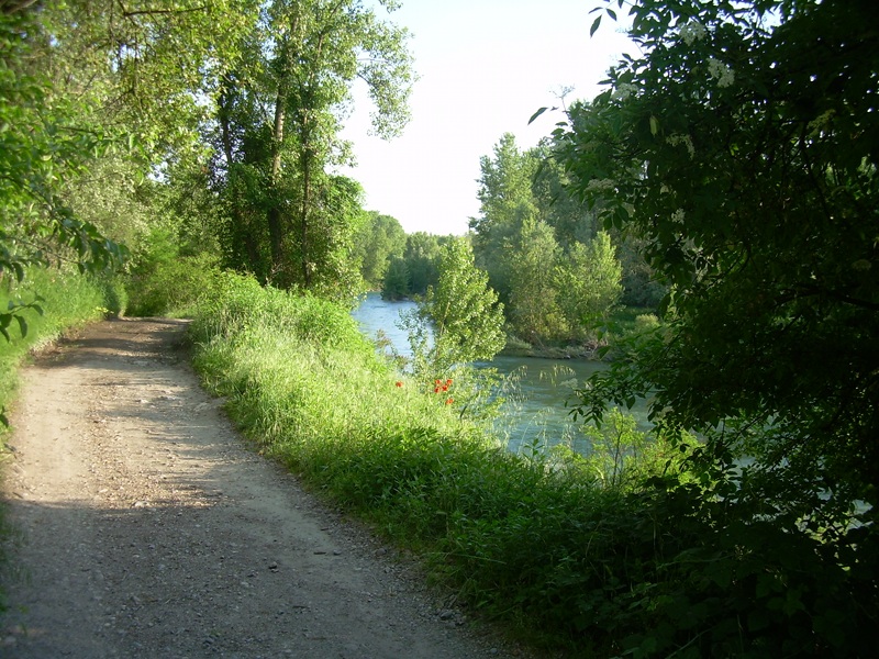 Barco path along the Oglio river