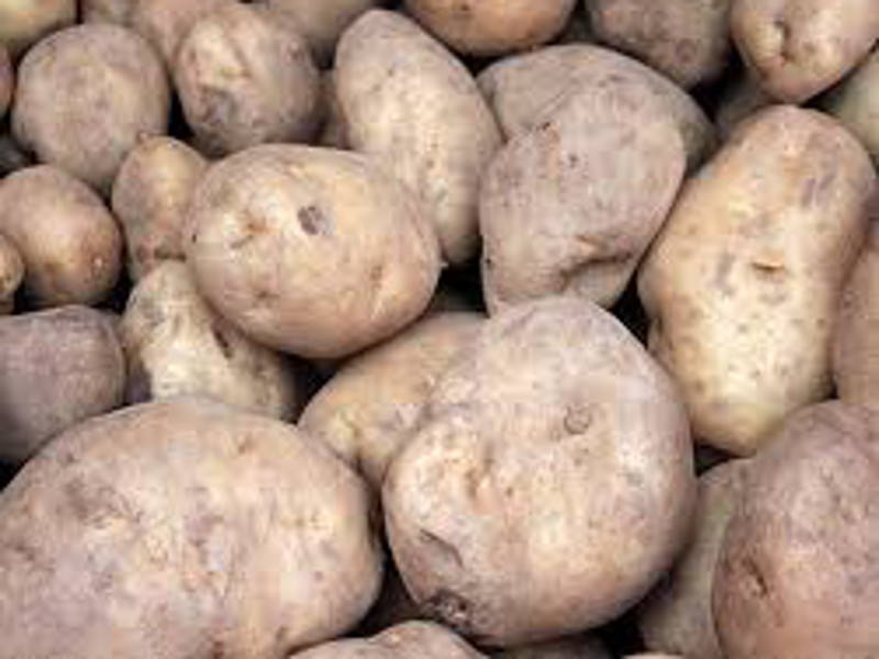 Pignone Potato