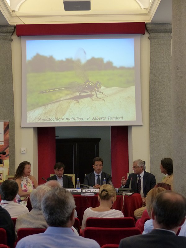 Monica Nucera Mantelli, Fabrizio Oddone, Enzo Lavolta, Ippolito Ostellino alla conferenza stampa nel municipio di Torino, 4 settembre 2015 (Foto di Andrea Miola)