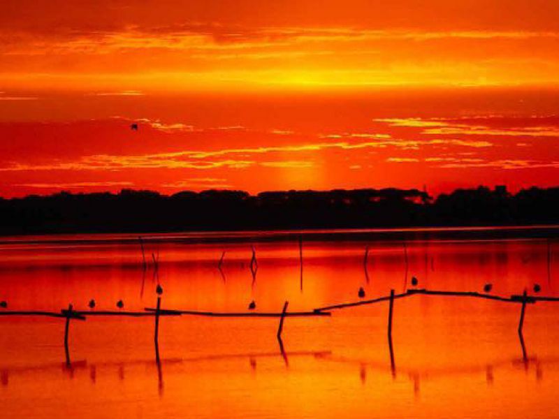 Lago di Massaciuccoli al tramonto