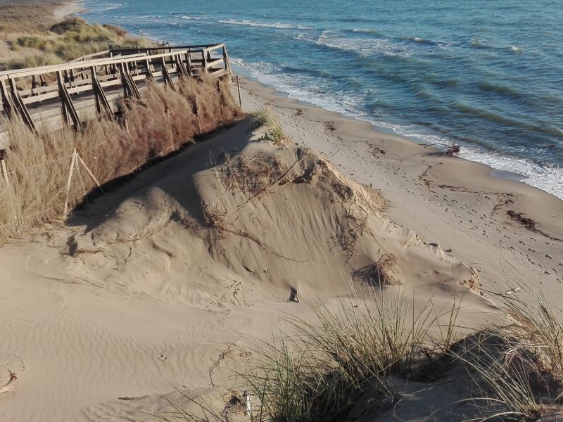 La spiaggia e le dune: ambienti da conoscere e conservare!