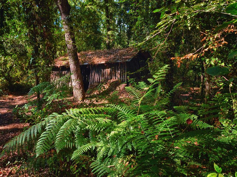 Rekonstruktion einer 'Lestra' in der Selva