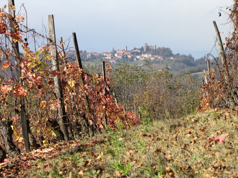 Cinzano vista dalle vigne di Albugnano