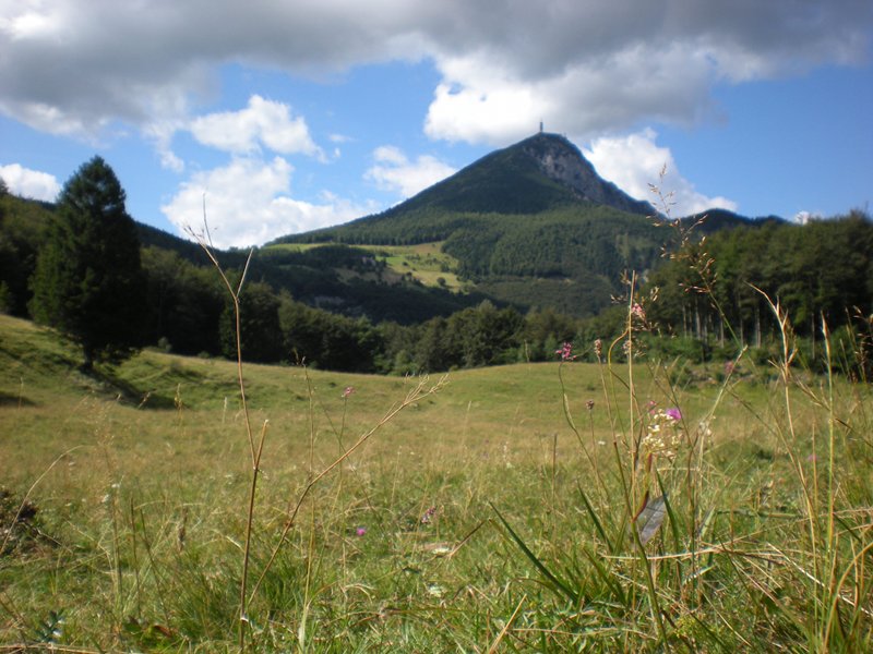 Albi alpine pasture