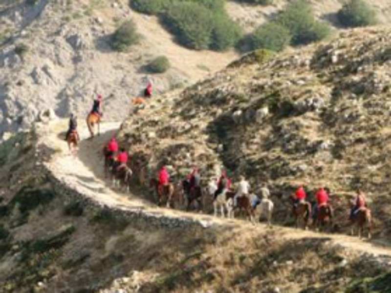 Horseback Trail Baita del Faggio-Vecchio Frantoio