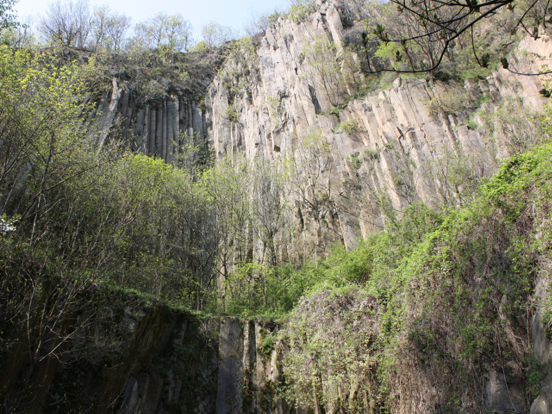 Columnar rhyolite quarry - Monte Cinto, Cinto Euganeo