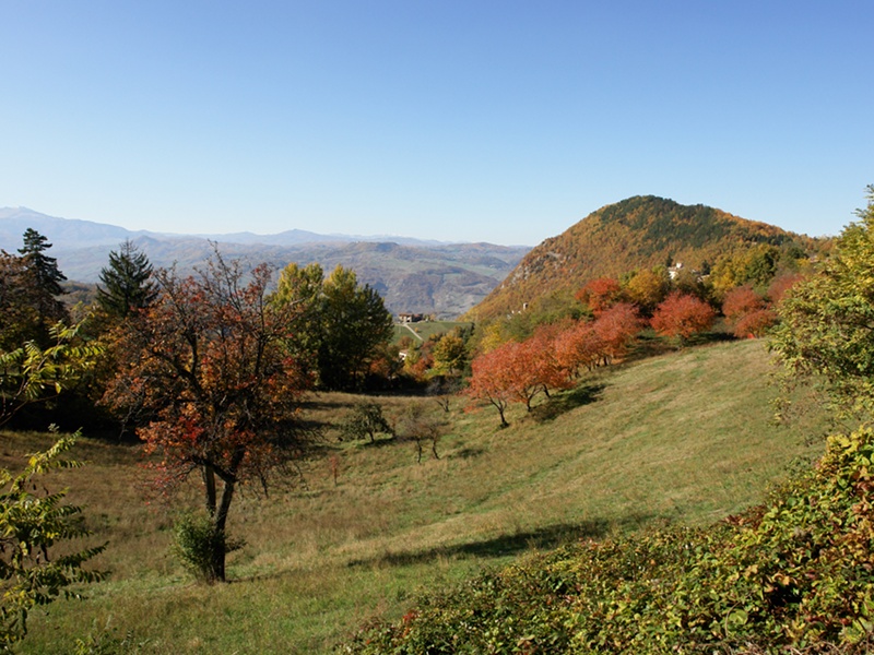 Mount della Riva