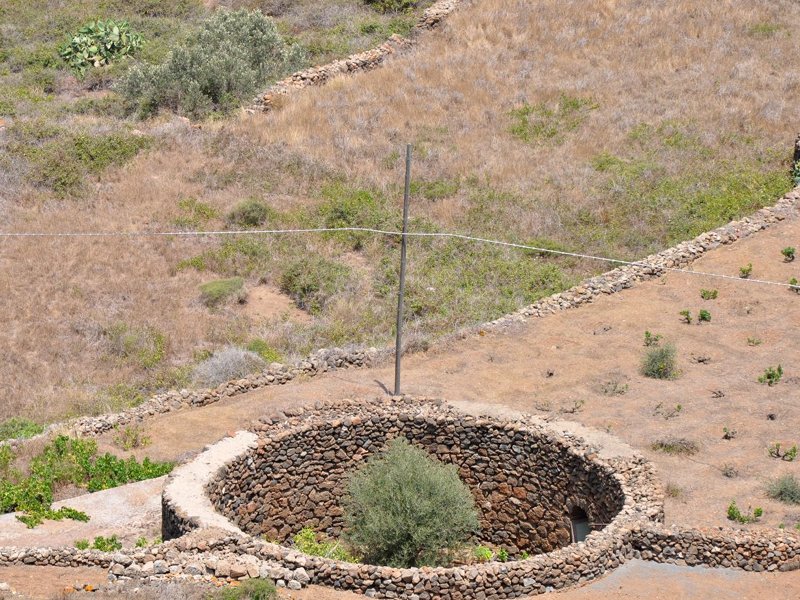 The Pantelleria garden
