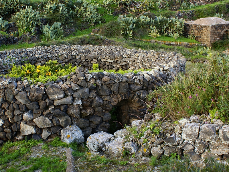 The Pantelleria garden