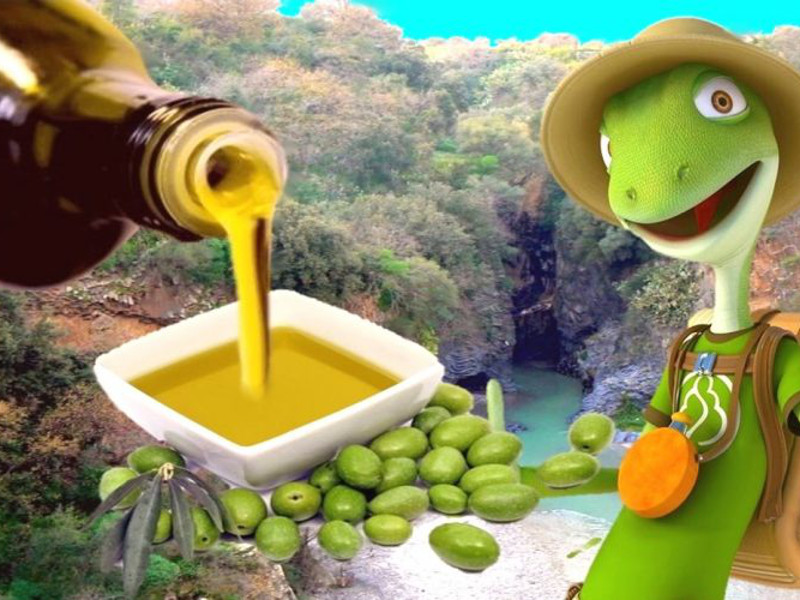 Natives Olivenöl mit geschützter Ursprungsbezeichnung Valdemone