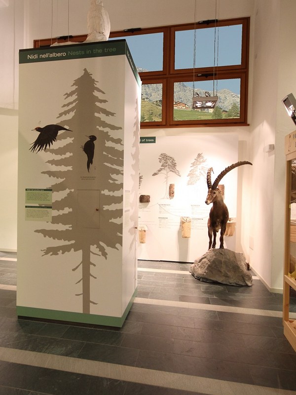 Sant'Antonio Valfurva Visitor Center: totem and panel of trees