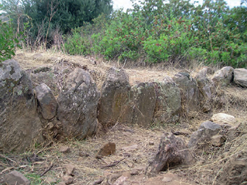 (36868)Giants' Tomb - Pirelca
