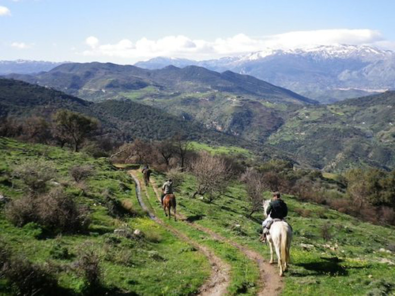 Horseback trails and riding in the Madonie Park