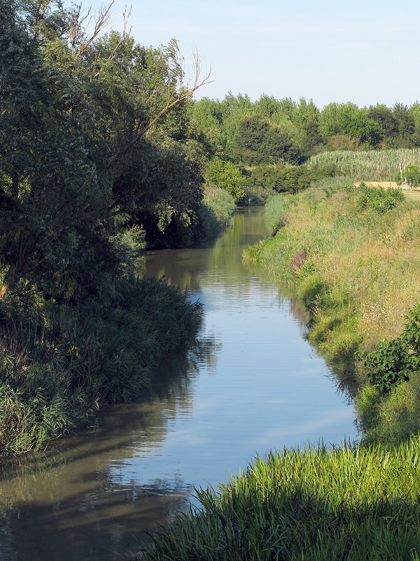 Il canale che costeggia a meridione il Basson, il Pagnone e la Cassa di Gandazzolo