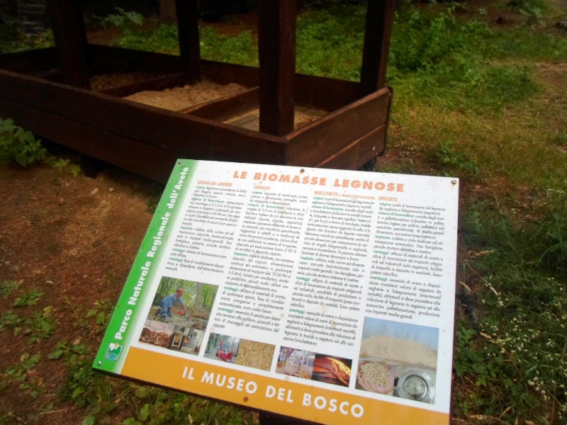 Leggio biomasse legnose: Museo del Bosco
