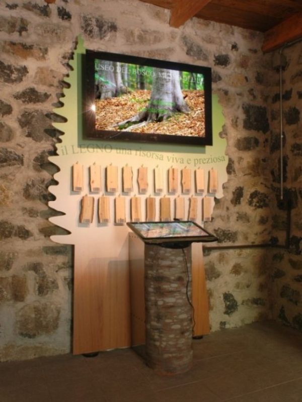 Museo del Bosco: exibit dei legni
