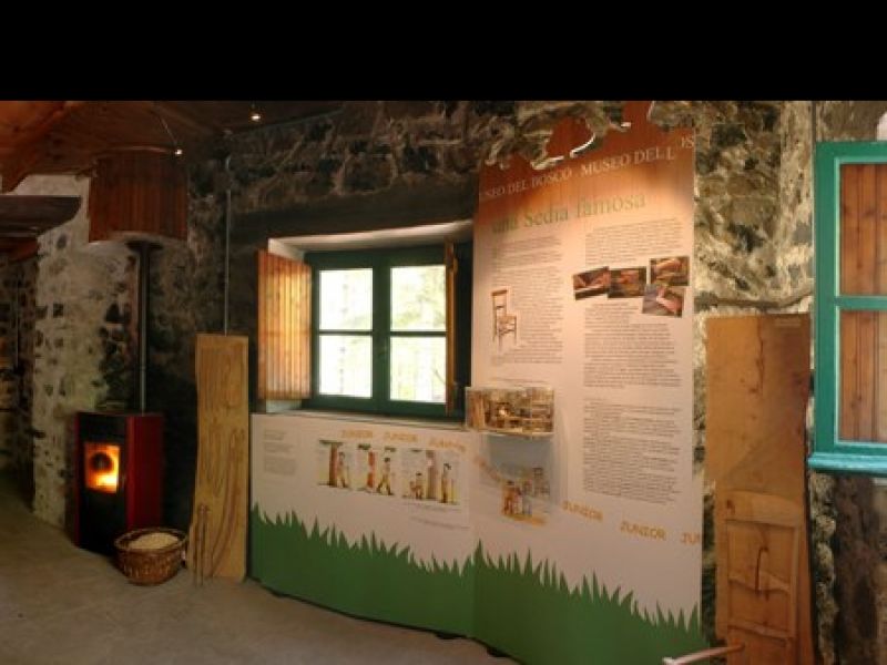 Museo del Bosco: allestimenti interni