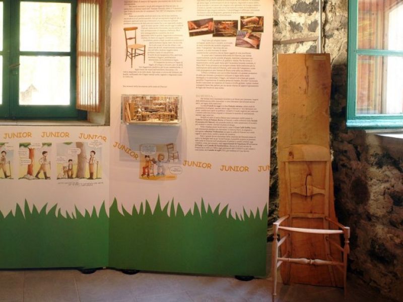 Museo del Bosco: interno