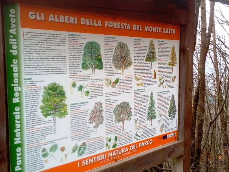 Pannello Alberi SN Foresta Monte Zatta