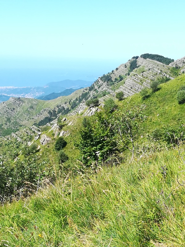 Bastionata Monte Zatta