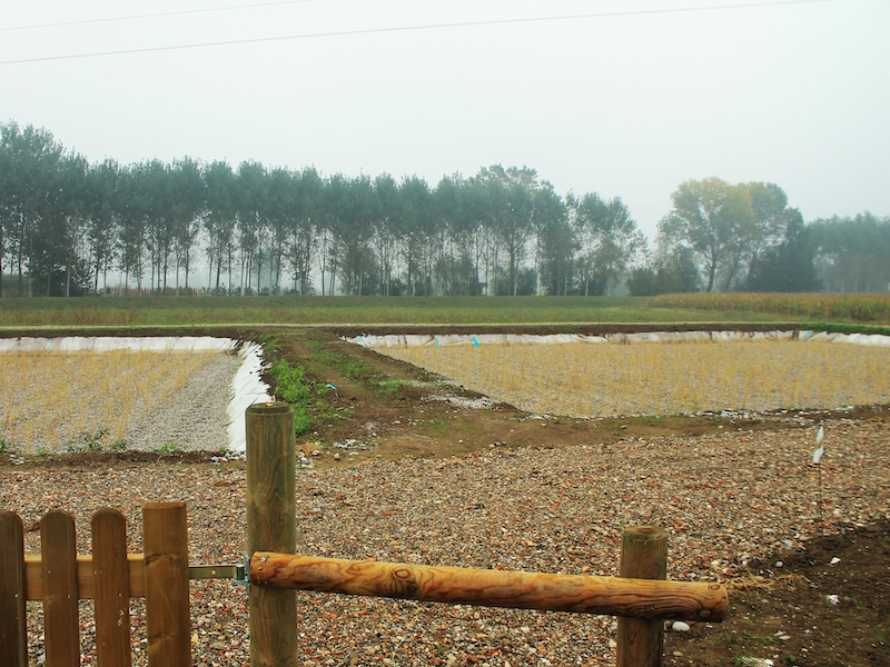 Interventi di Riqualificazione del corso d’acqua Gambara nel tratto ricadente nel Comune di Volongo (provincia di Cremona)