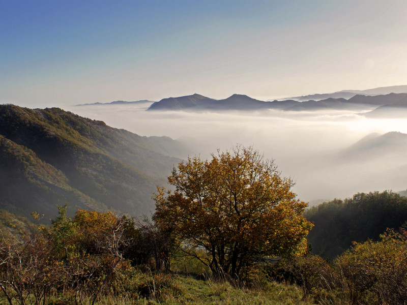 Panorama da San Paolo in Alpe nel Parco Nazionale Foreste Casentinesi