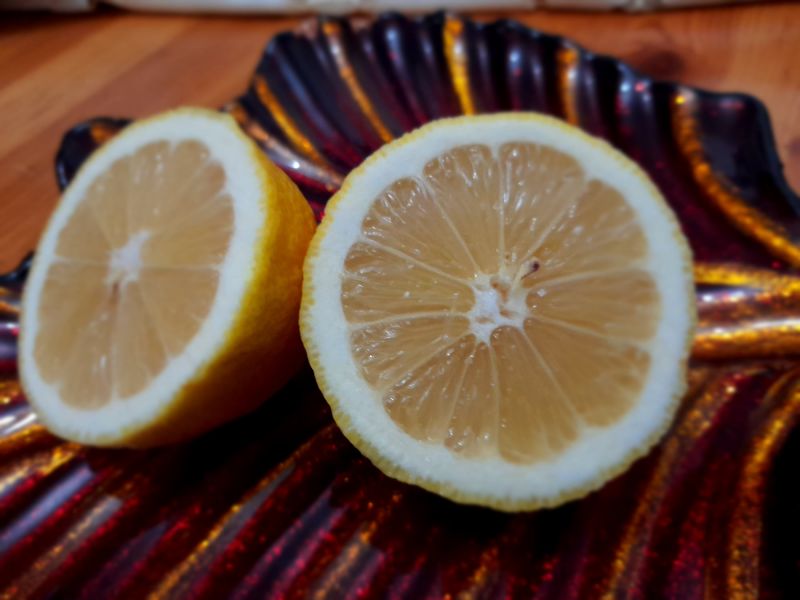 Citrus limon - Limone