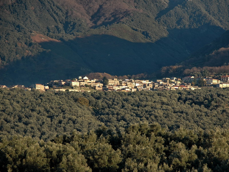 Santa Cristina d\'Aspromonte