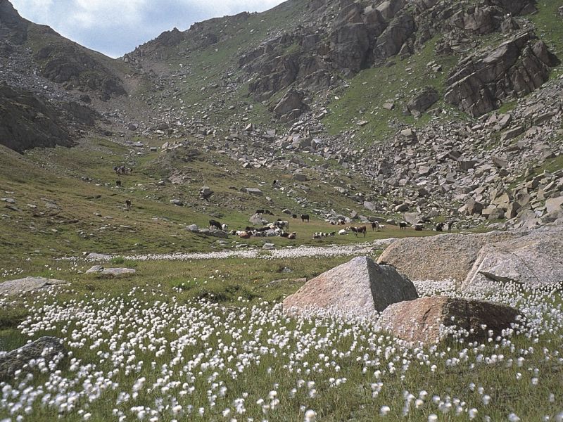 Santuario Madonna di Ciavanis 1878 m - Alpe Vailet 2230 m