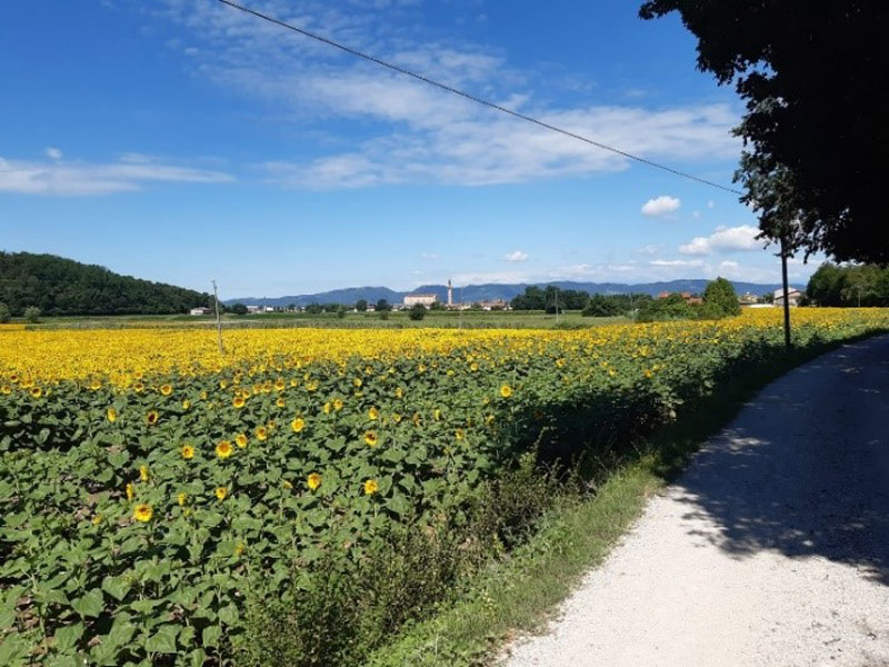 Trail of Bersaglieri - R4