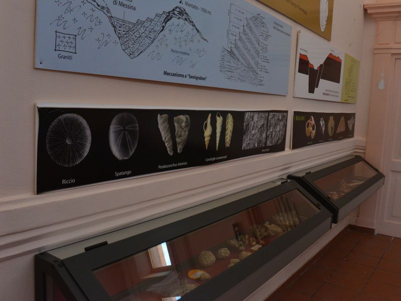 (42568)Museum of Palaeontology and Natural Sciences of the Aspromonte