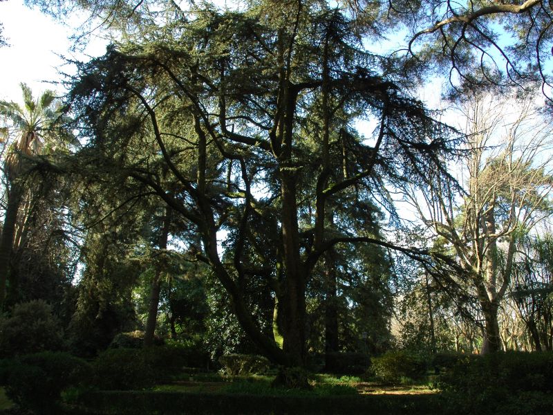 Villa Comunale - Orto Botanico
