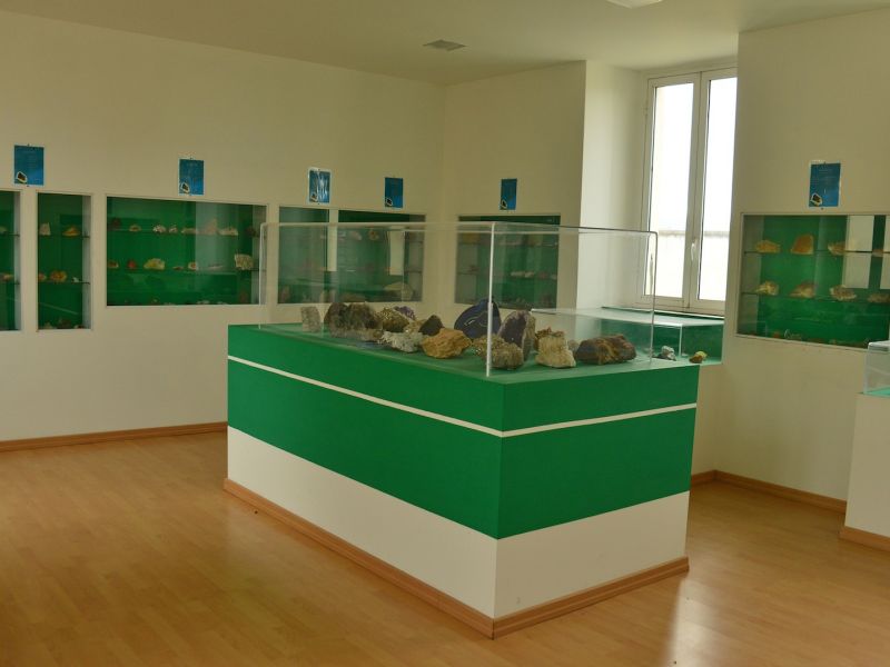 (42585)Museo Civico di Storia Naturale
