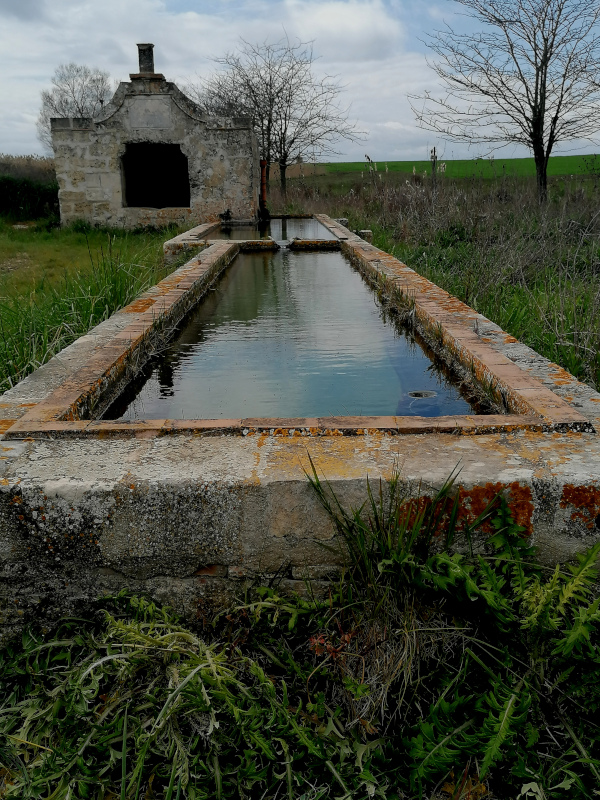 Cisterne per la raccolta delle acque
