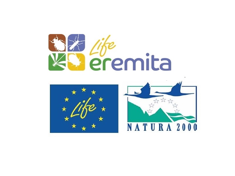 logo life eremita