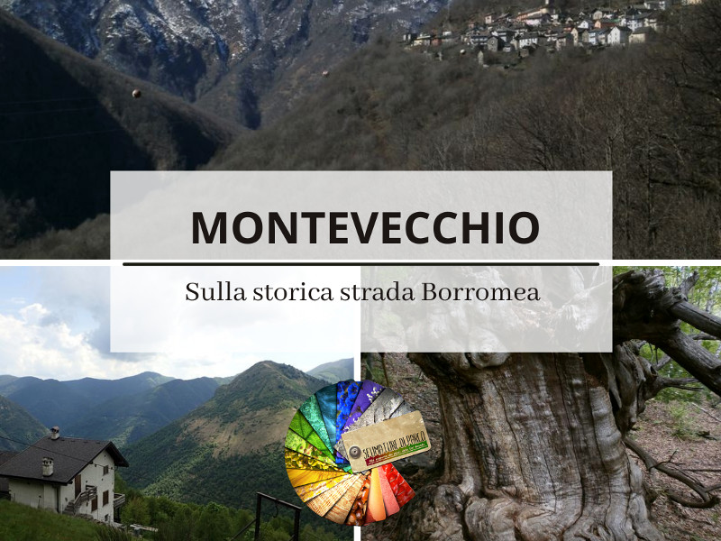 Montevecchio