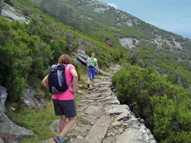 Wanderweg Elba Nr. 101: Aufstieg zum Dach des Archipels