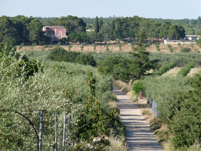 Trail A: Ruvo di Puglia train station - Tratturello Regio