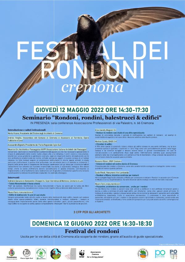 locandina Festival Rondoni