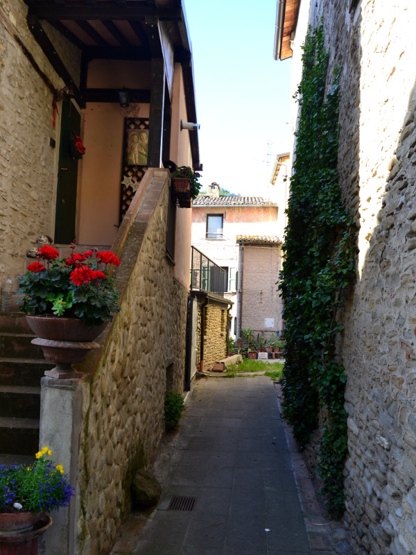 Borgo Rivola
