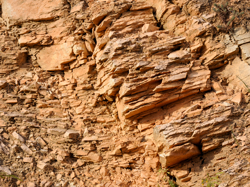 Le rocce sedimentarie